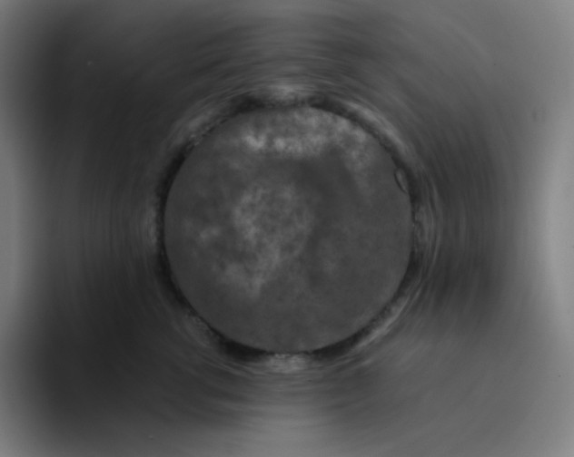 X0000094190762200711161748