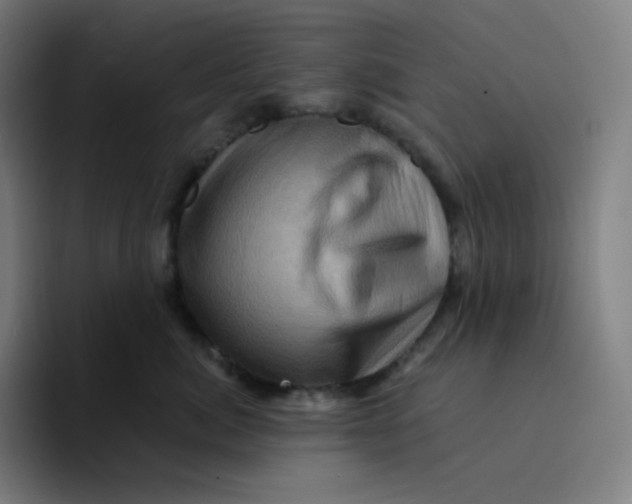 X0000094190764200711161748