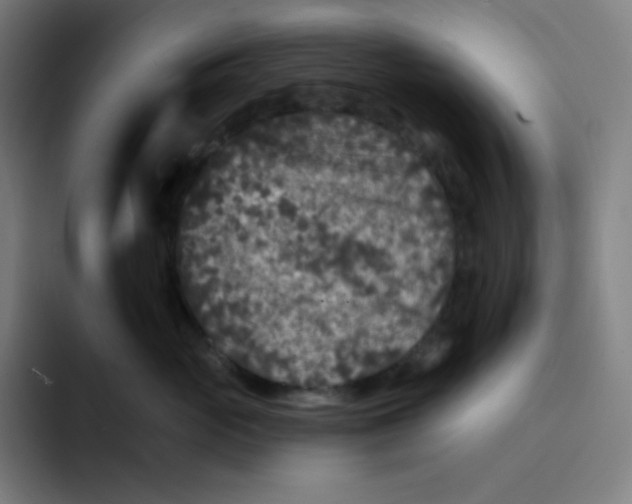 X0000094190765200711161748