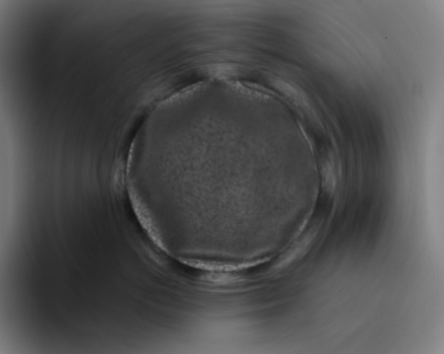 X0000094190766200711161748