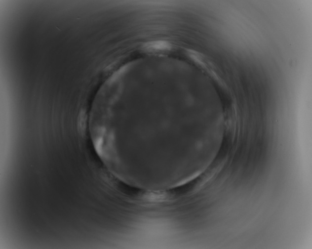 X0000094190767200711161748