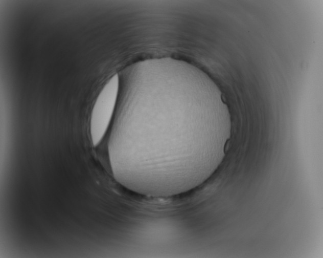 X0000094190768200711161748