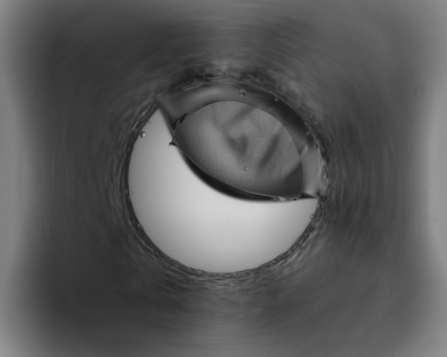 X0000094190769200711161747