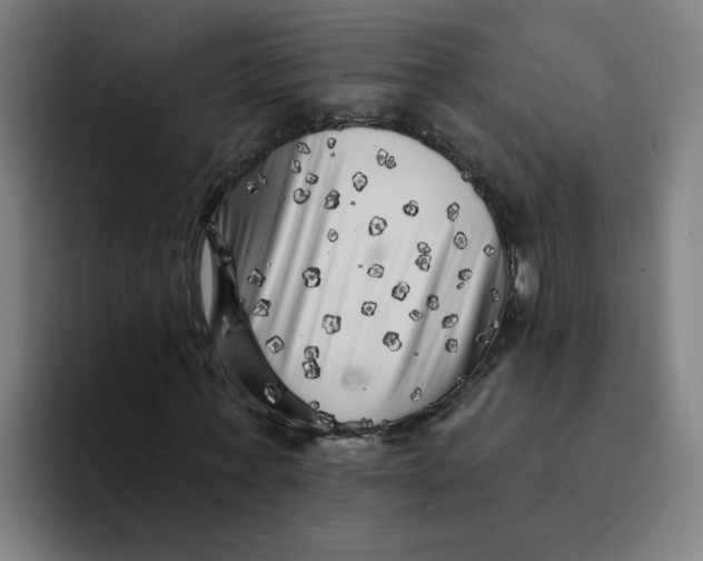 X0000094190771200711161747