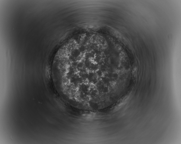 X0000094190772200711161747