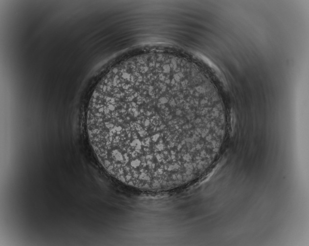 X0000094190775200711161747