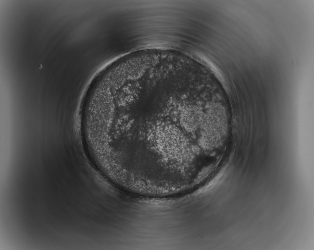 X0000094190779200711161747