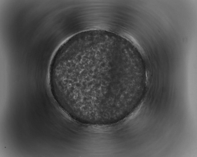 X0000094190780200711161747