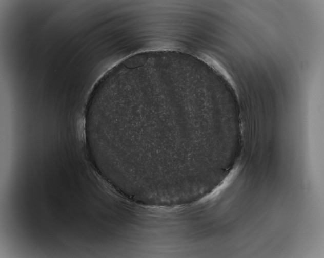 X0000094190781200711161747