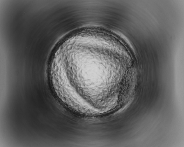 X0000094190783200711161747