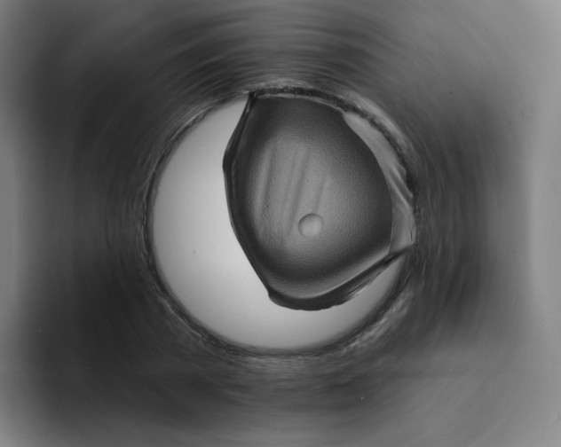 X0000094190785200711161747