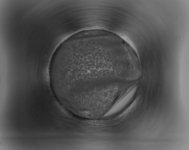 X0000094190789200711161747