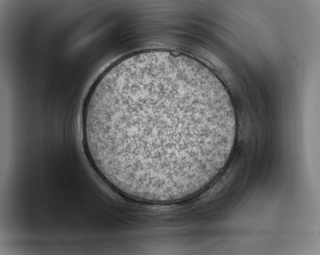 X0000094190796200711161747