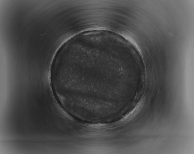 X0000094190797200711161747