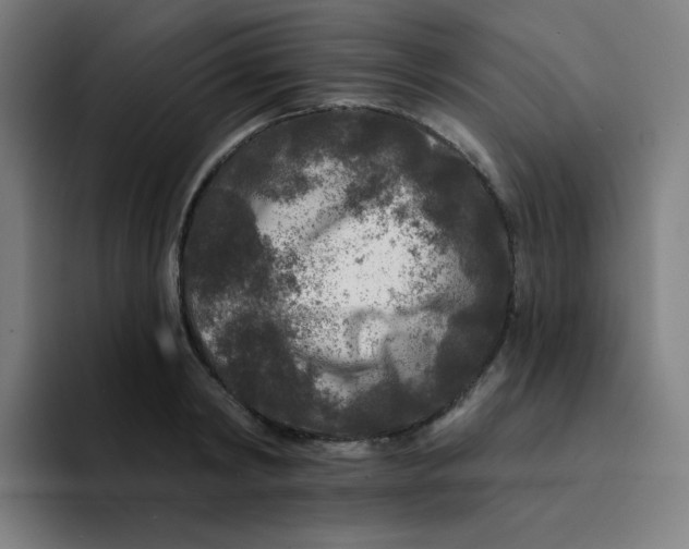 X0000094190798200711161747