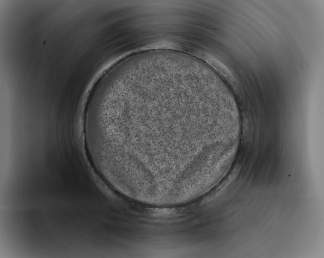 X0000094190800200711161747