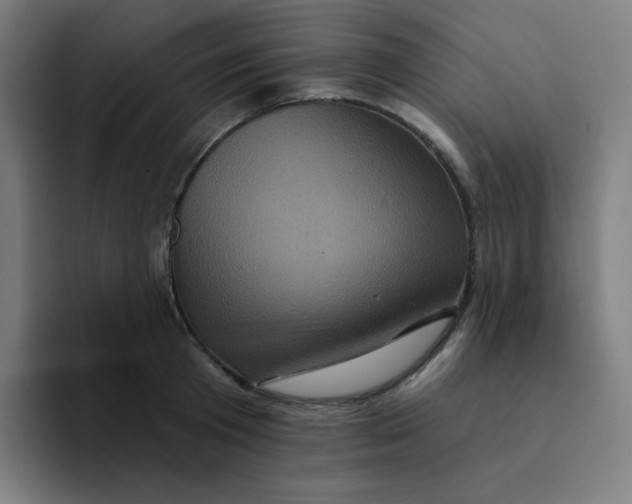 X0000094190801200711161747