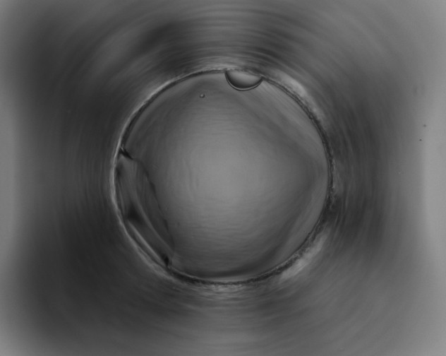 X0000094190802200711161747