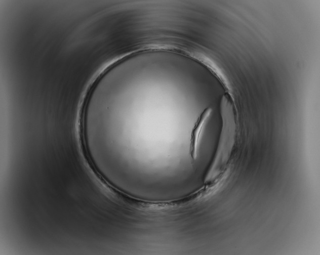 X0000094190803200711161747