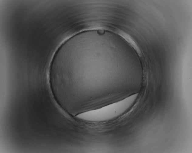 X0000094190805200711161747