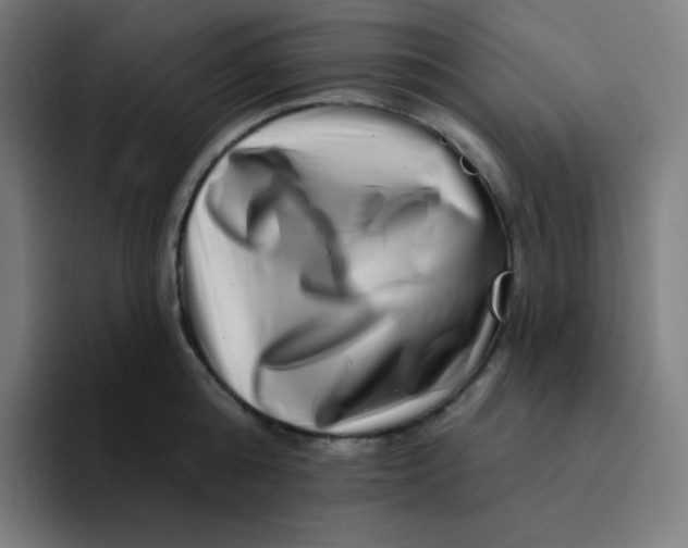 X0000094190808200711161747