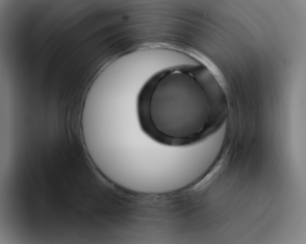 X0000094190809200711161747