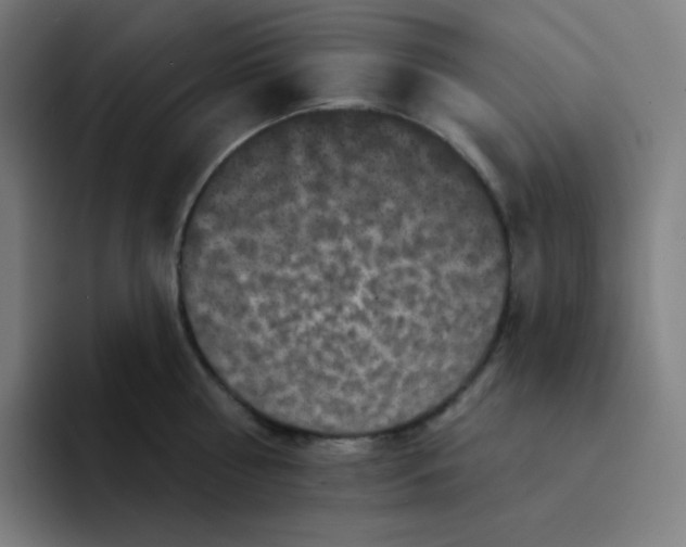 X0000094190810200711161747