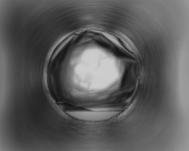 X0000094190812200711161747