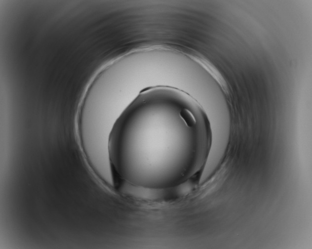 X0000094190813200711161747