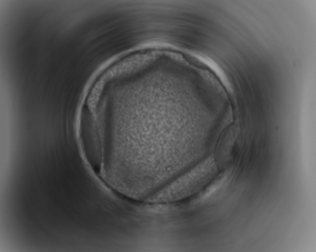 X0000094190815200711161747