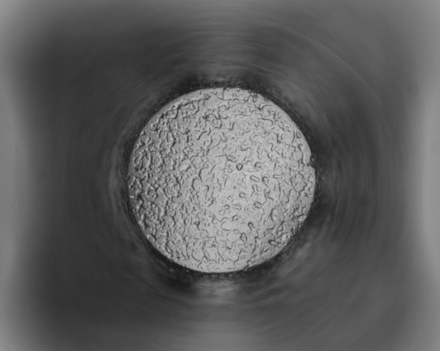 X0000094190817200711161746