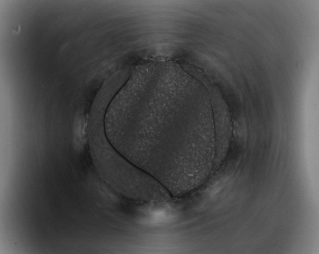 X0000094190818200711161746