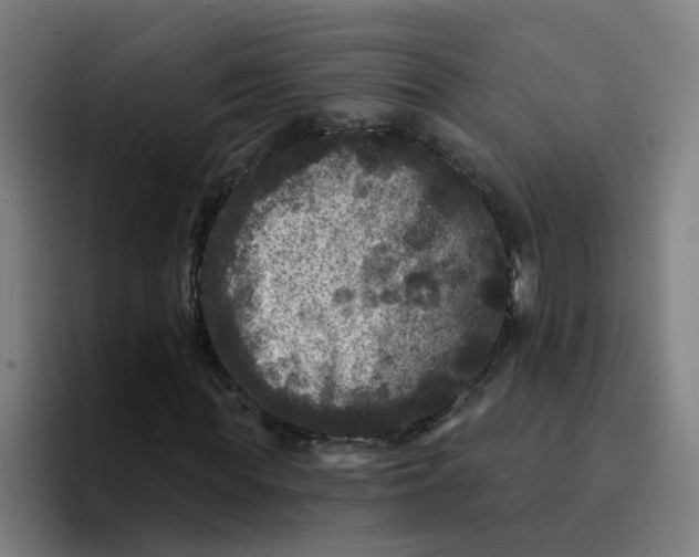 X0000094190819200711161746