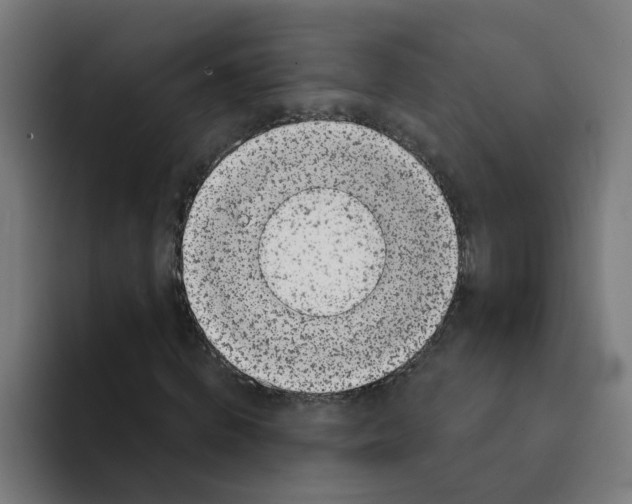 X0000094190820200711161746