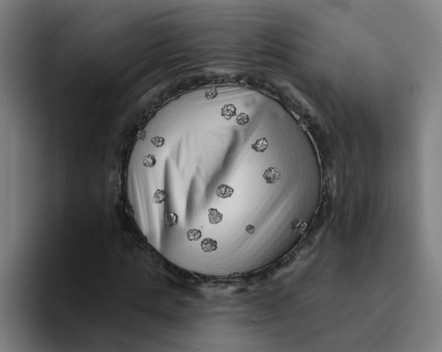 X0000094190821200711161746