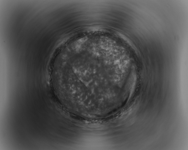 X0000094190823200711161746