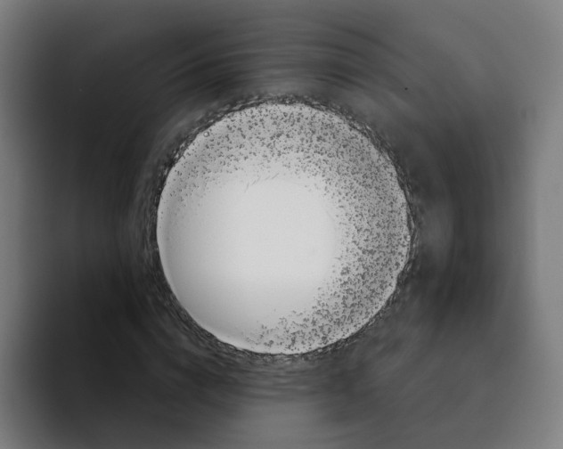 X0000094190824200711161746