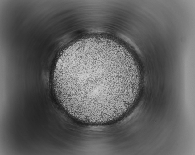 X0000094190825200711161746