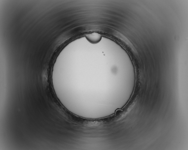 X0000094190826200711161746