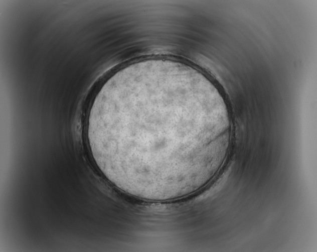 X0000094190827200711161746