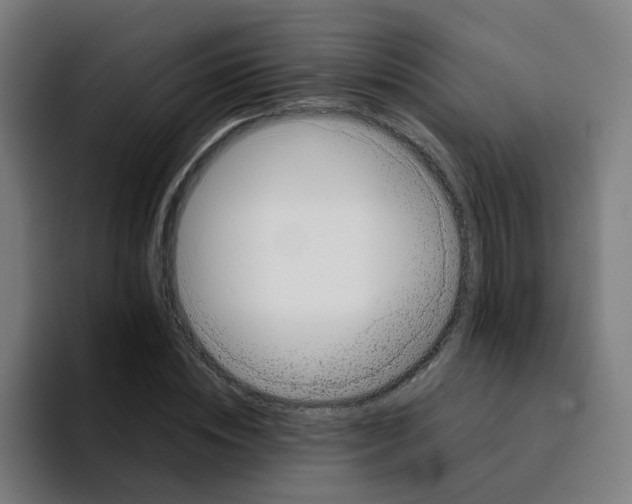 X0000094190828200711161746