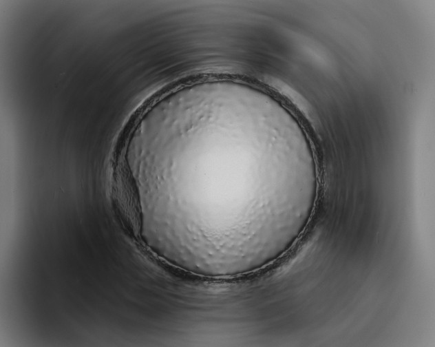 X0000094190829200711161746