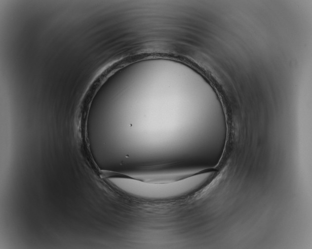 X0000094190830200711161746