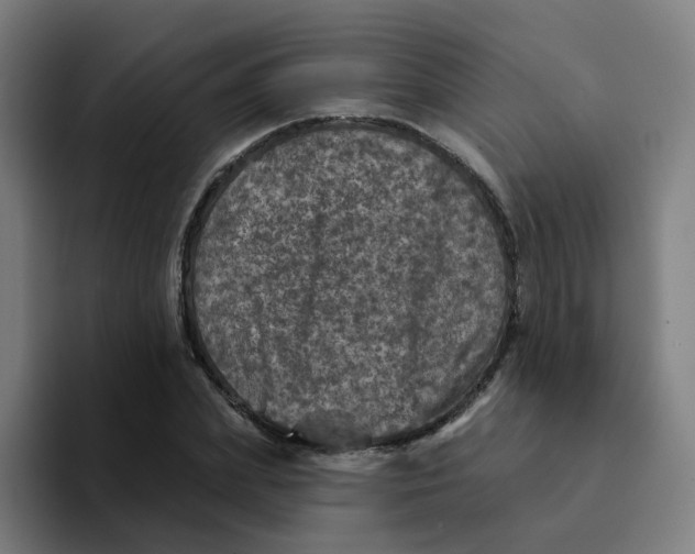 X0000094190831200711161746