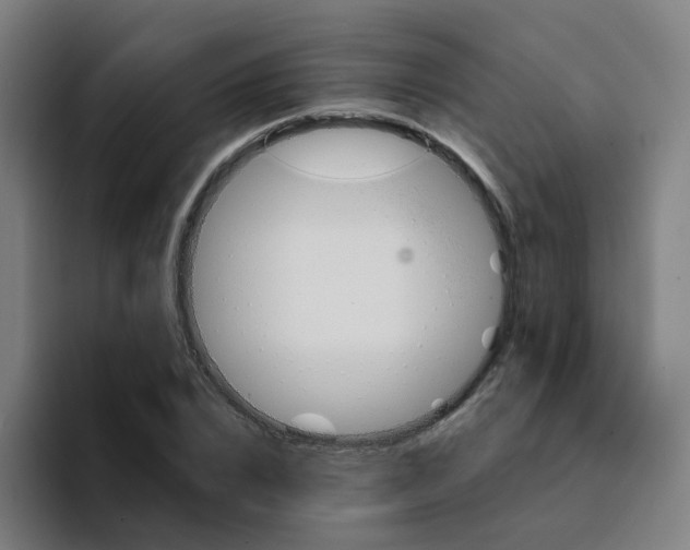 X0000094190832200711161746