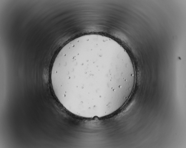 X0000094190833200711161746