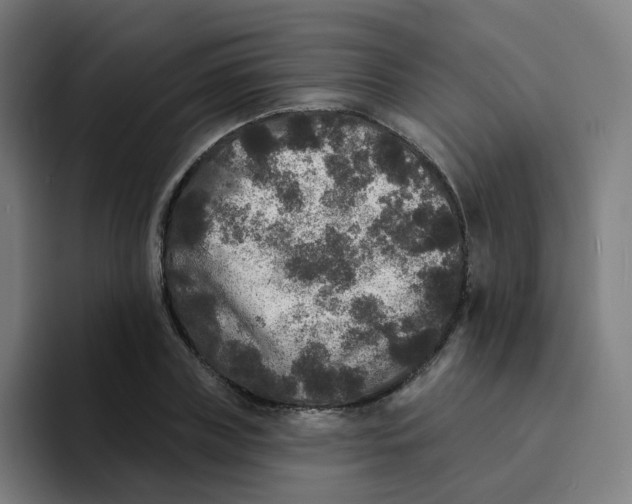 X0000094190835200711161746