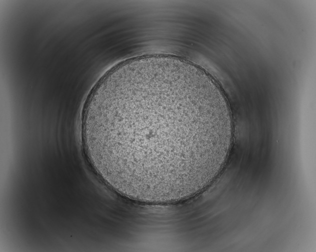 X0000094190836200711161746