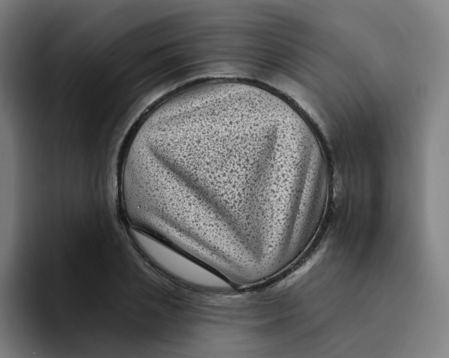 X0000094190837200711161746