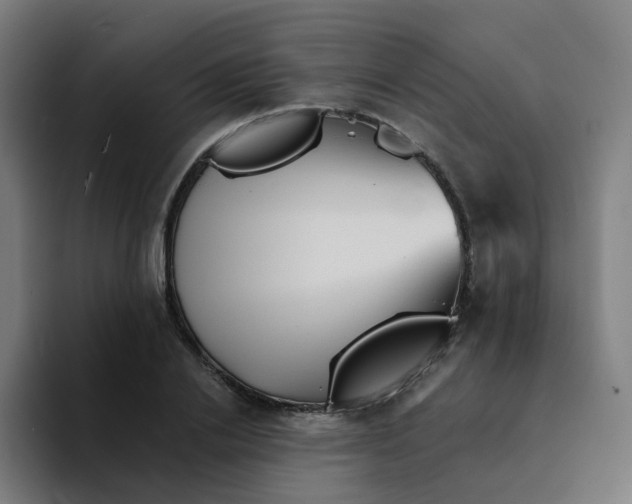 X0000094190838200711161746